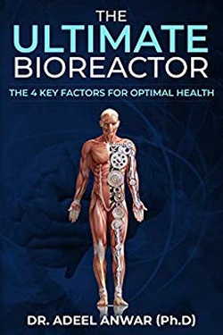 The Ultimate Bioreactor: The 4 Key Factors for Optimal Health